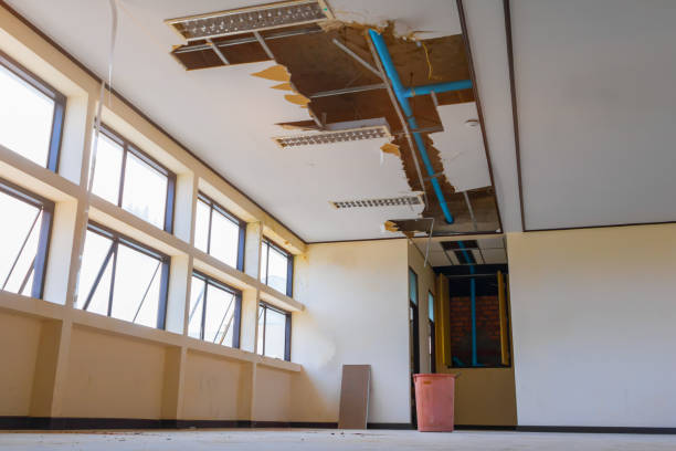 Best Water damage cleanup near me  in Macdonnell Heights, NY