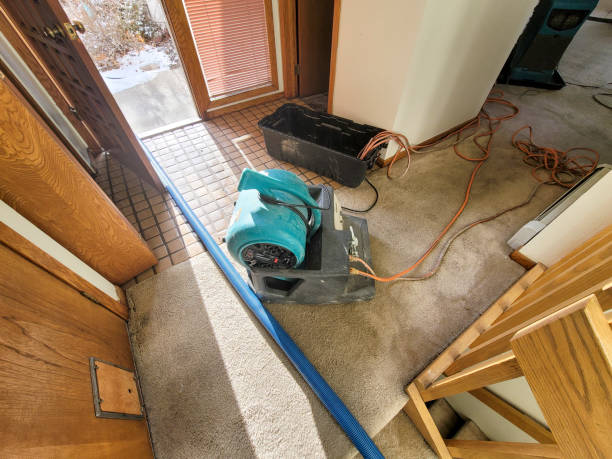 Best Water damage contractors near me  in Macdonnell Heights, NY