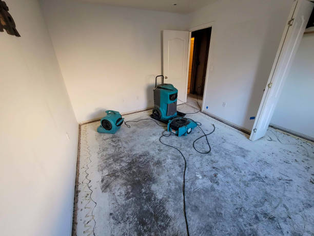 Best Water damage restoration insurance claims  in Macdonnell Heights, NY