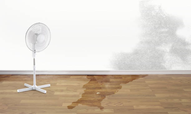 Best Residential water damage restoration  in Macdonnell Heights, NY
