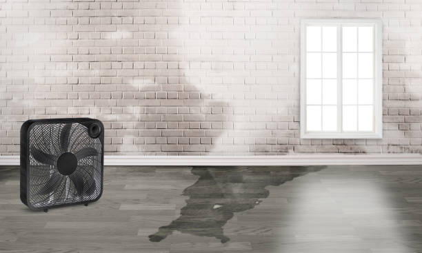 Best Water damage restoration insurance claims  in Macdonnell Heights, NY
