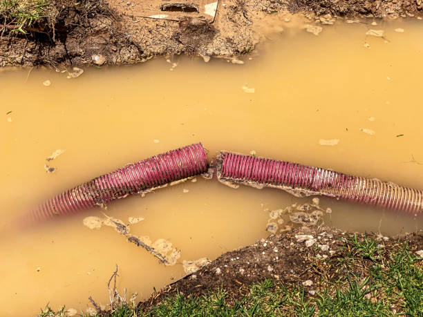 Best Water damage cleanup near me  in Macdonnell Heights, NY